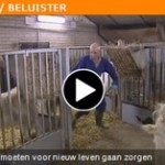 Omroep Brabant - De bokken moeten voor nieuw leven gaan zorgen.