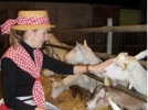 Excursie
