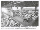 Eindhovens Dagblad 16 juni 2007-p2